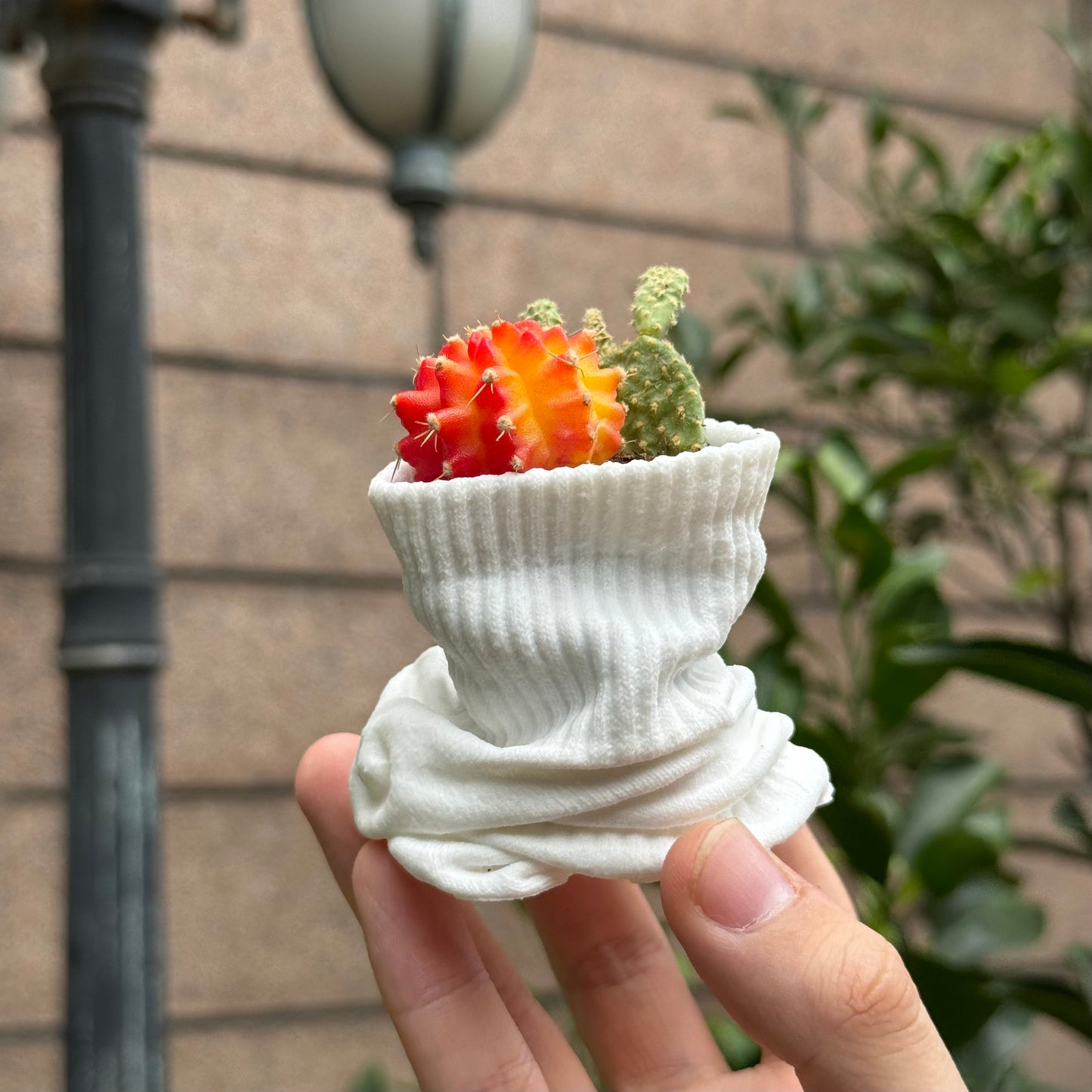 Creative Sock - Style Ceramic Container: Ideal for Candles or Small Plants